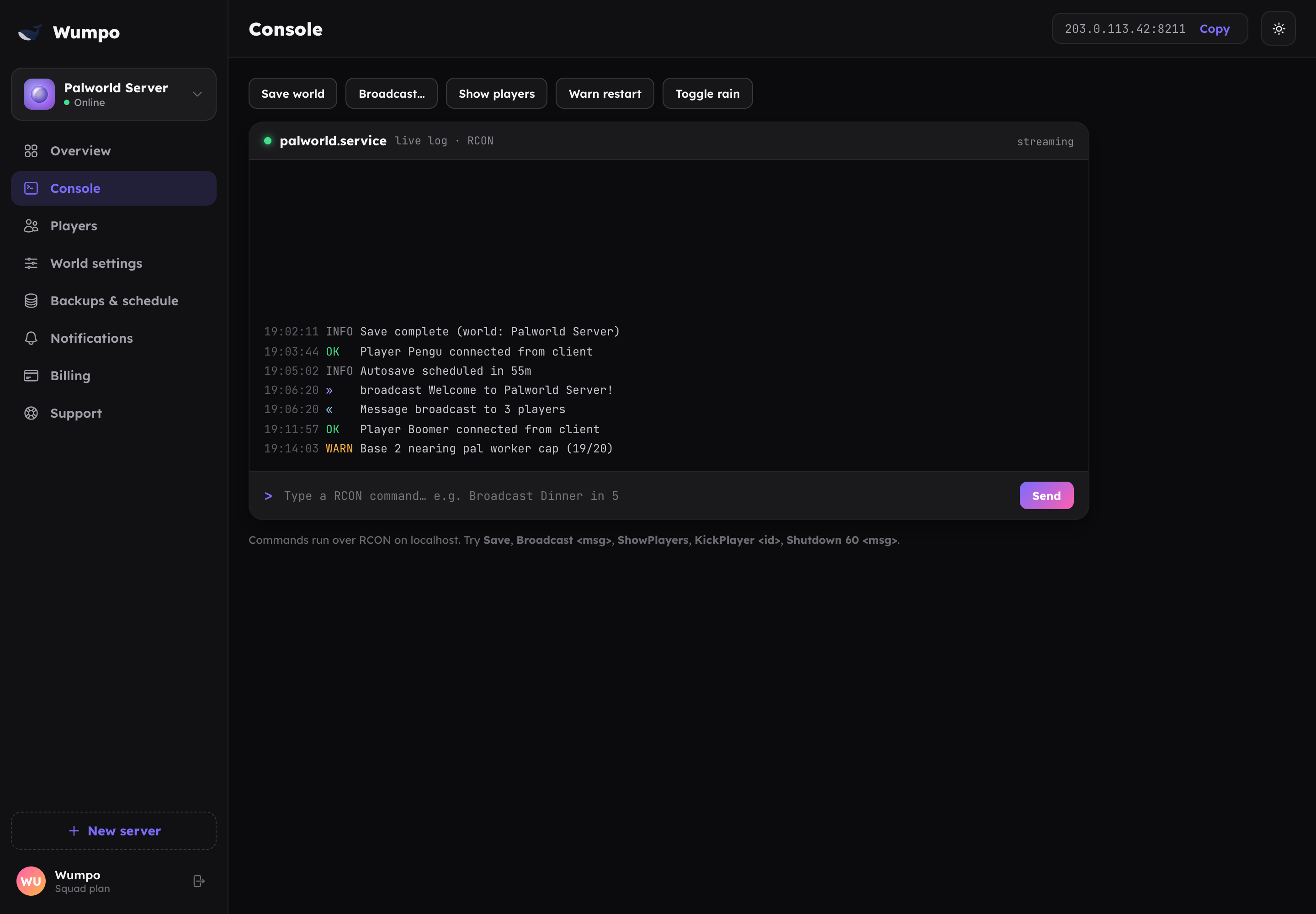 The Console panel showing live server log output and a command box