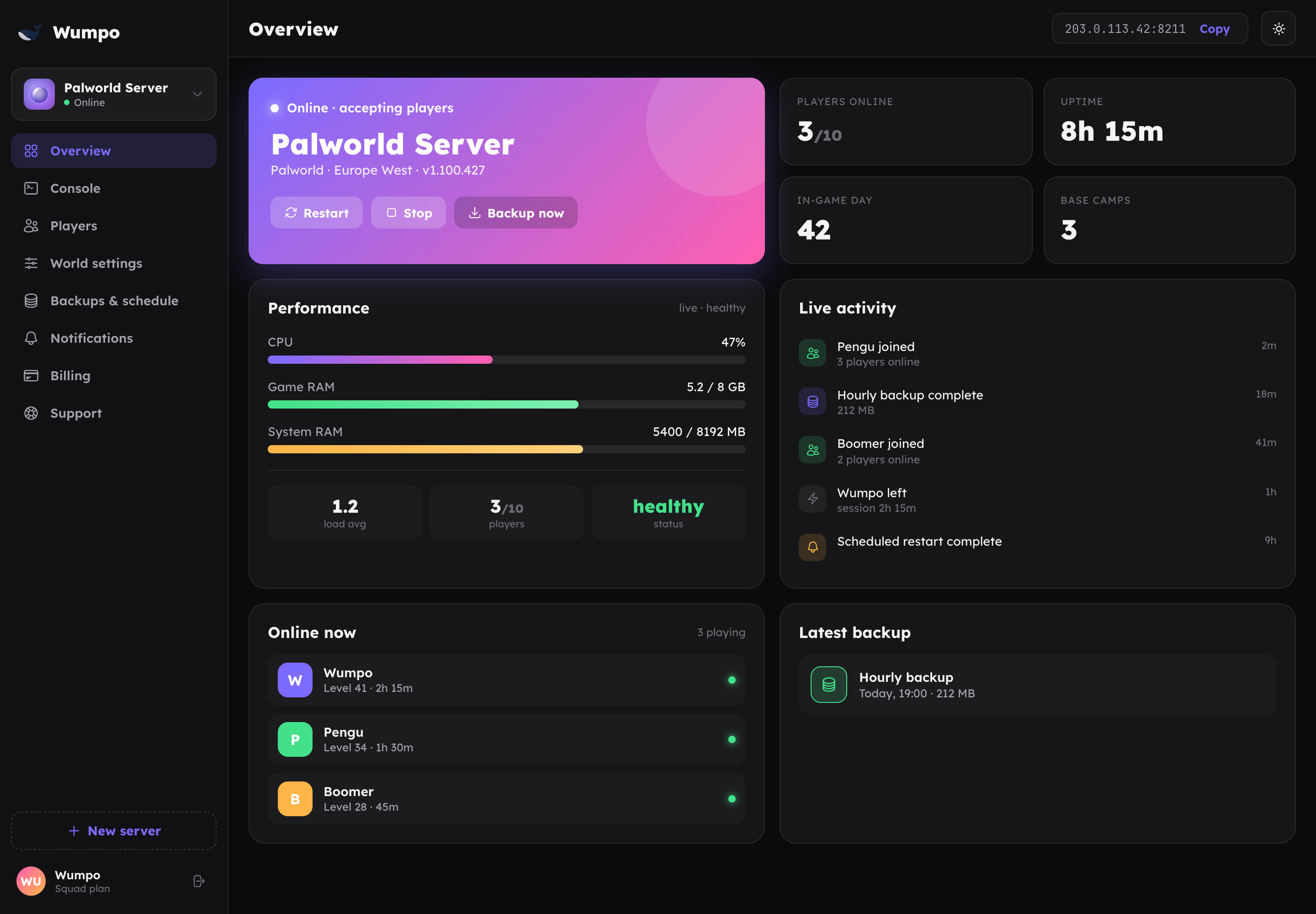 The Overview panel with a server online, showing status, performance and activity